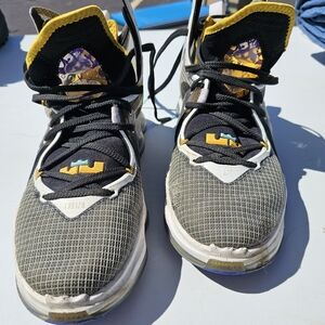 LeBron hi-tops, basketball shoes